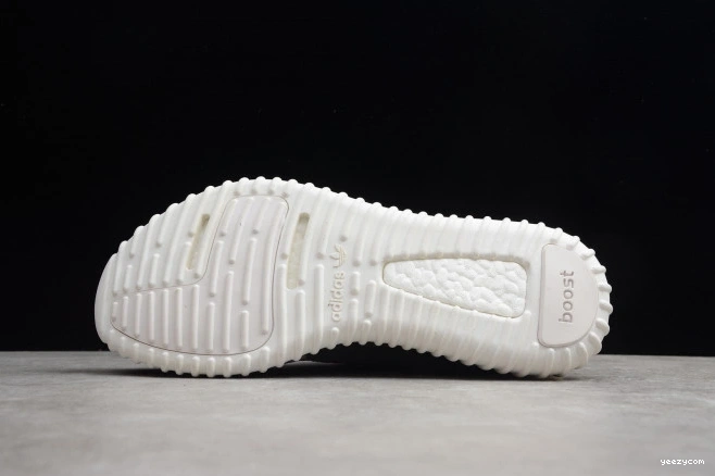 350 Adidas Dove Turtle YEEZY AQ4832 Boost 1001